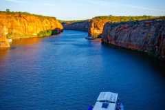 canion11