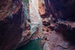 canion6