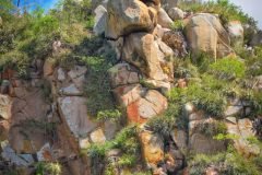 DSC_0287